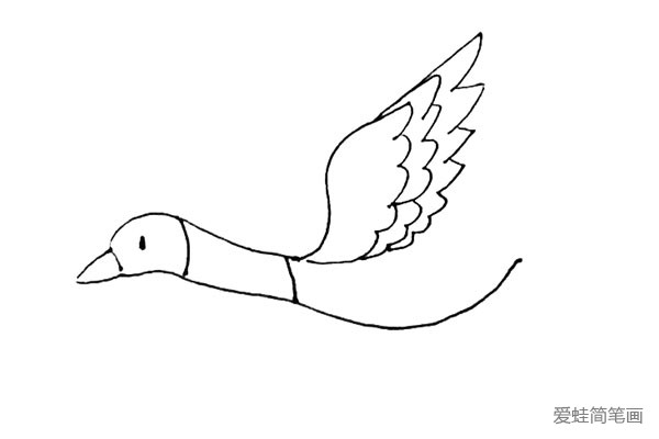 第五步：再用相同的画法画上第三层羽毛，就画好了一边的翅膀了。