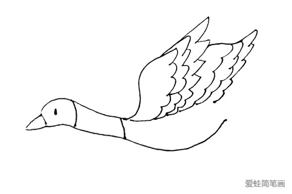 第六步：用上面画翅膀的方法在后面画上第二个翅膀。