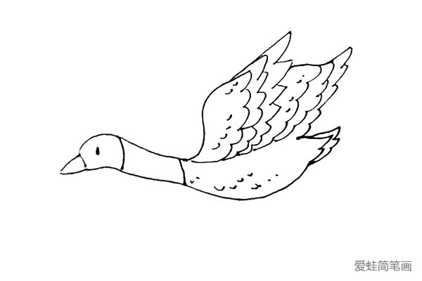 第八步：在身体上的其它地方，用小弧线和点，来画出大雁的一些羽毛作为装饰。