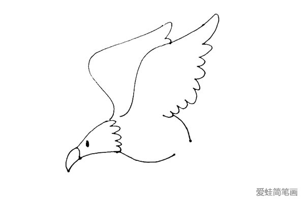 第四步：再从曲线尾部画下来一段的波浪线，形成翅膀，并画出上下两条弧线形成老鹰的身子。