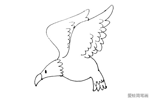第六步：在弧线的断口处，画下来两条竖线，并用波浪线连接，里面也画上波浪线，形成老鹰的尾毛。