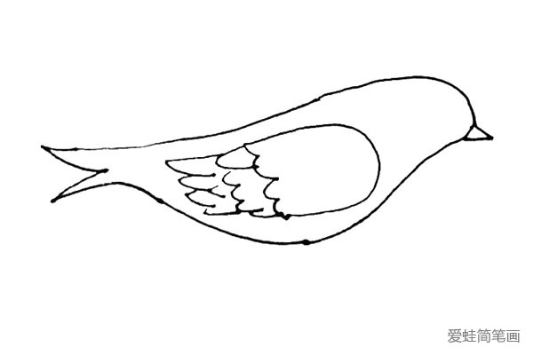 第六步：尾巴上的羽毛，用一条大折线画出来。