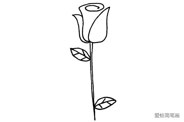 漂亮的玫瑰简笔画图片2