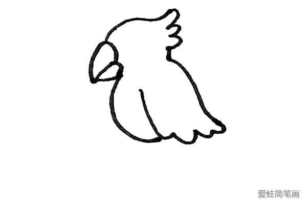 第五步：然后用弧线画出翅膀的感觉，翅膀下面要用小弧线表示羽毛。