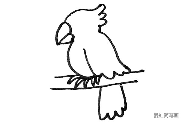 第八步：下面，再用画翅膀的方法画出尾巴的羽毛。