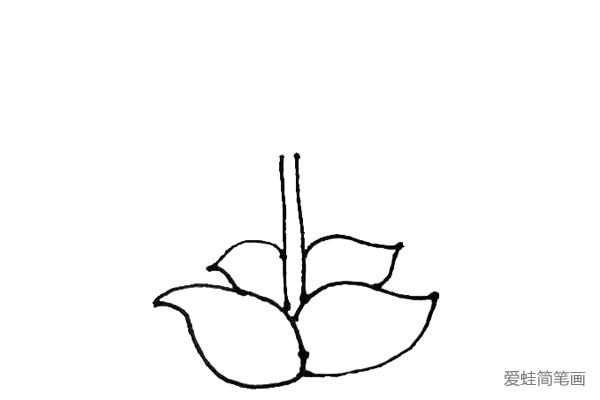 第二步：在叶子中间，画上两条竖线，并在两边再画上两片叶子。