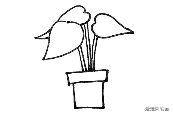 第四步：用竖线将叶子和花盆连接起来。