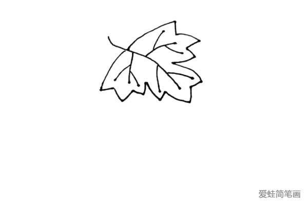第三步：绕着叶脉画外形，在每条线上画一个小折线，重复这样的画法我们就画出了葡萄的叶子。