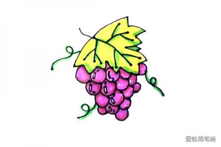 轻松学画葡萄