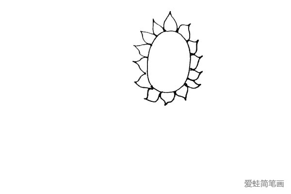 第二步：在花盘的外围，画上一圈的花瓣，有点像尖尖的椭圆形的花瓣。