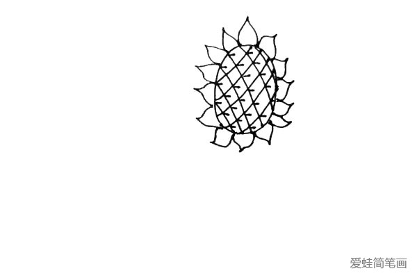 第五步：在交叉线之间，画上一条小横线，这样就更像向日葵花盘了。