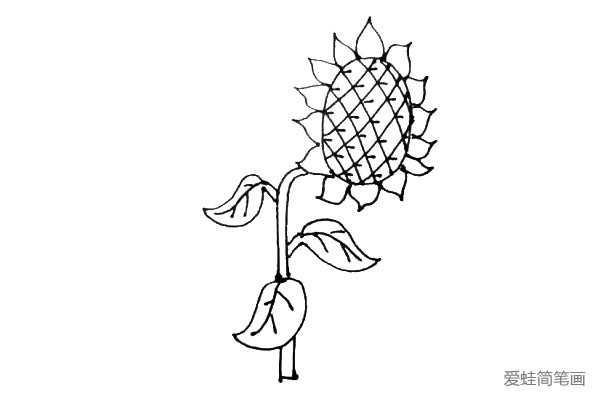 第七步：接着再花茎左右两边画上两片伸出来的叶子。