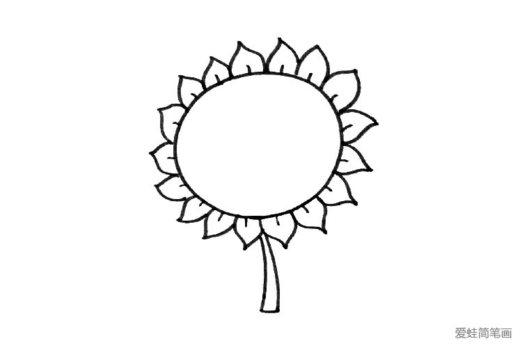 可爱向日葵简笔画步骤3