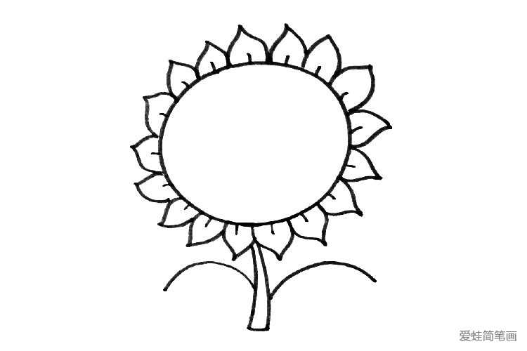 可爱向日葵简笔画步骤4