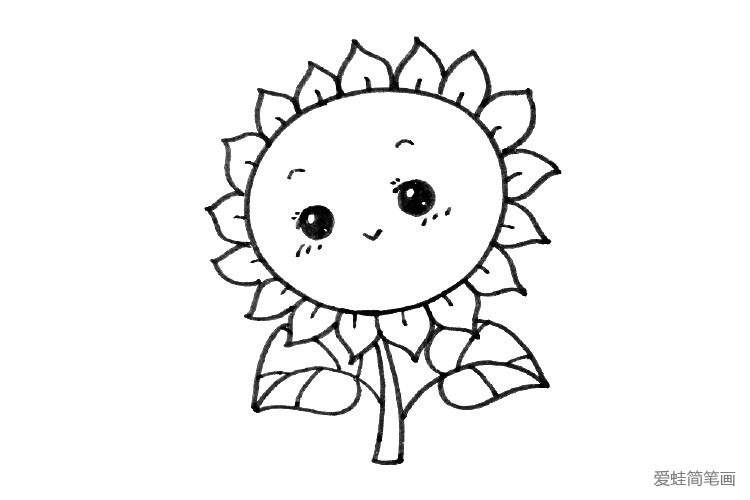 可爱向日葵简笔画步骤6