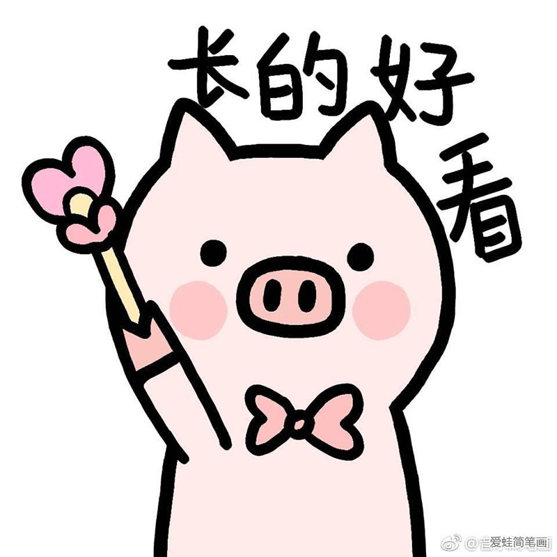 可爱的猪猪表情4