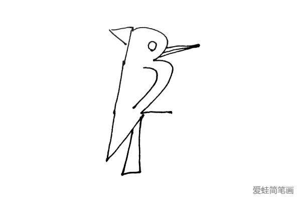 第四步：在中间画上一条弧线作啄木鸟翅膀，下面画上一个梯形作为尾巴。