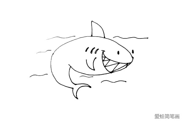 第八步：在鲨鱼周边画上一些波浪线作为水的波纹。