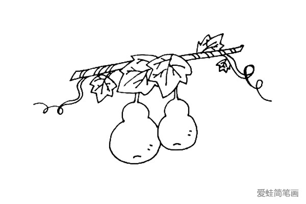 第七步：再加上一些小叶子使得葫芦藤看起来更茂盛，可以随意加一些小叶子。