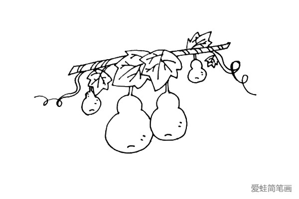 第八步：画好了小叶子，再加一些小葫芦在周围吧!