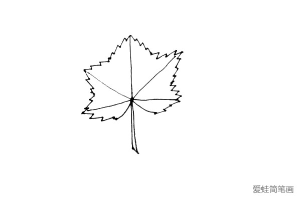 第四步：用小折线，把相邻的线和点连起来，枫叶的外形就画好了。