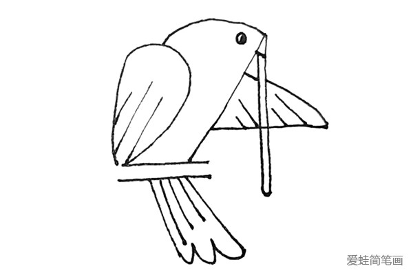 第六步：再点上鸽子的眼睛，在羽毛处画上斜线作为翅膀的纹理。