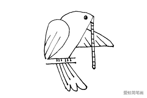 第七步：再用短线给虫子画出纹理，以及在树枝处画上短线作为鸽子的脚。