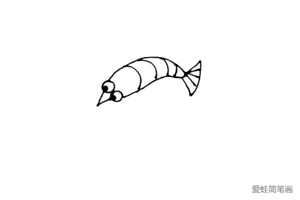 第三步：先画上小龙虾扇形的尾巴，并且用弧线画上小龙虾身上的结构。
