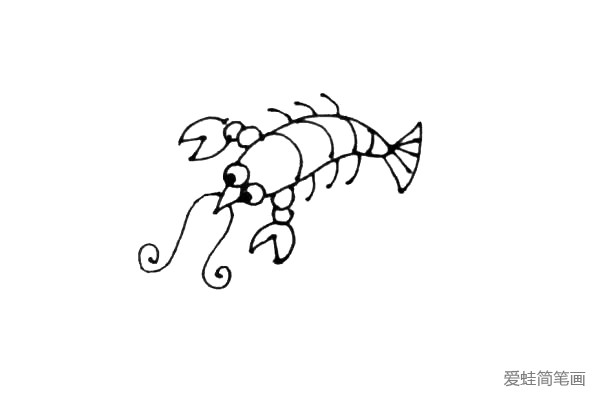 第五步：画上小龙虾的脚和它长长的胡须。