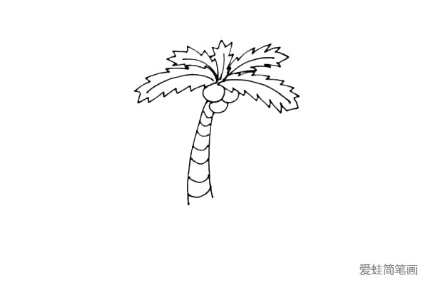 第四步：画上椰子树长长的树干，里面画上一些小的弧线表示树干的结构。