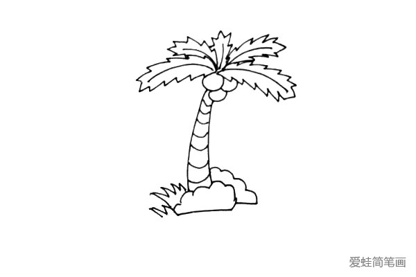 第五步：在椰子树的根部画上一些小草，或者其它的一些植物。