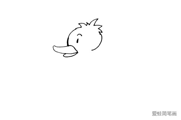 第三步：接着画上眼睛，弯弯的眉毛和上下扁扁的嘴巴。小鸭子的头就画好了。