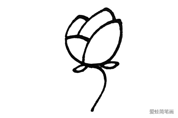 第四步：画上玫瑰花椭圆形状的的叶子和长长的茎。