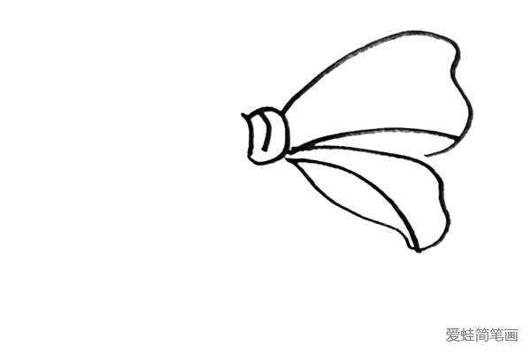 第二步：接着画上一只张开的翅膀，在里面画上线条来细化蝴蝶结。