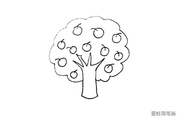 第四步：在树冠里面画满大小不一样的苹果。