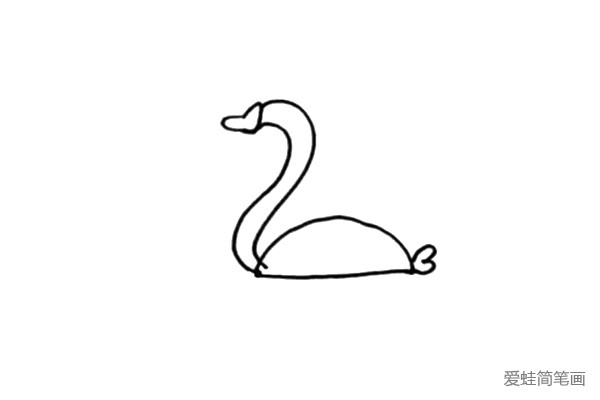 第二步：接着画小天鹅的身体和它短小的尾巴。