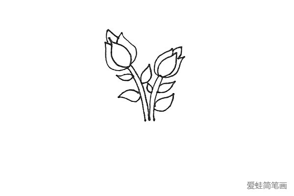 第六步：接着再用画花瓣的方法在花茎上画出叶片的样子。
