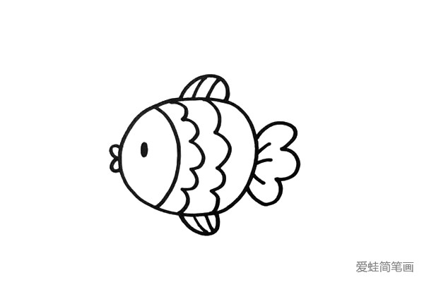 3. 再画出鱼鳍、鱼鳞、鱼尾巴，都是弧线和波浪线。