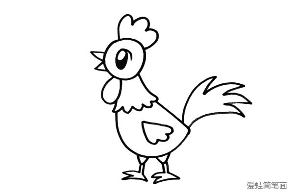 3.公鸡的尾巴是它的特征之一，要画的大一些