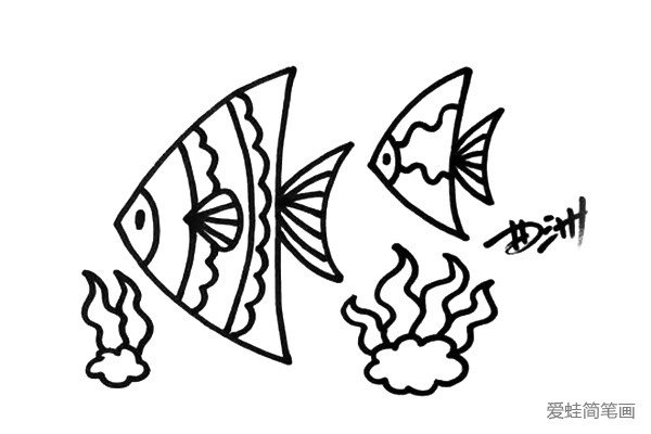 3.再画出几只造型不同的热带鱼吧，然后画出一些水草。