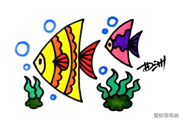 画热带鱼