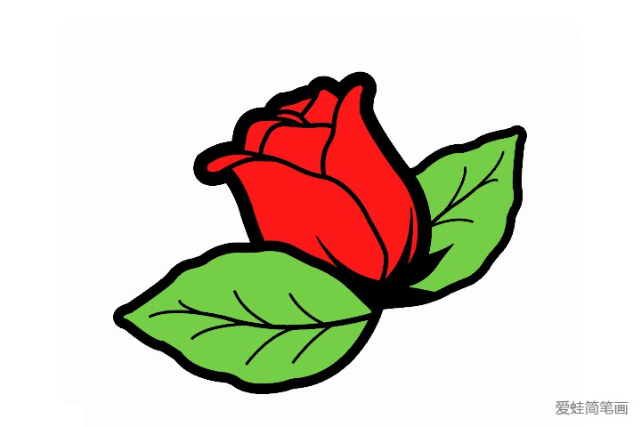 红玫瑰简笔画带颜色