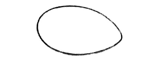 1.画一个一头略尖的椭圆形。