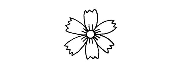 2.画出长条形的花瓣