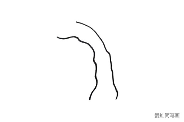 1.用两条弯弯的弧线，画出柳树的树干。