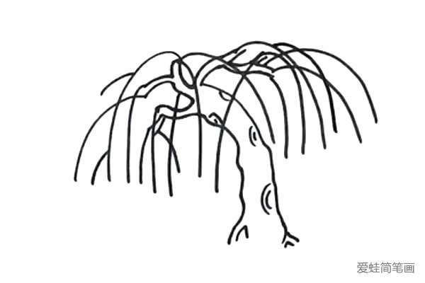 4.用弧线画出柳枝，要画出垂下来的效果。
