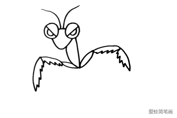 2.接着画出它的上肢，螳螂的上肢像镰刀，也像锯子。
