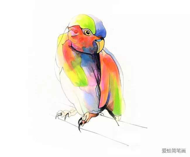 画小鸟的彩色插画欣赏7