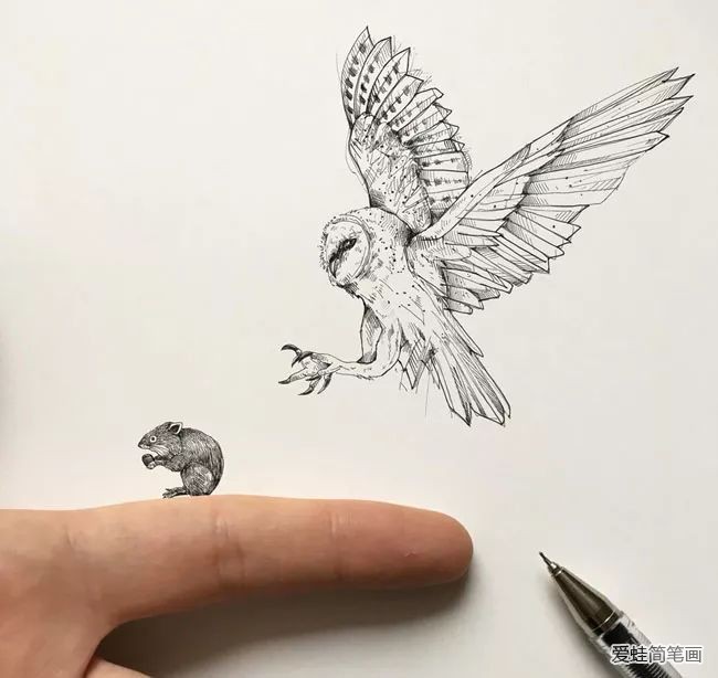 创意手绘动物插画欣赏7