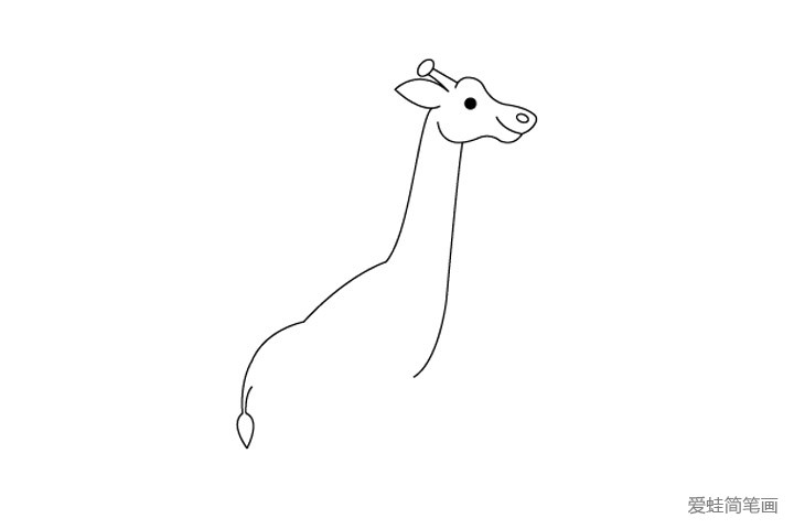 4.接下来弧线画出长颈鹿的背部轮廓和尾巴。